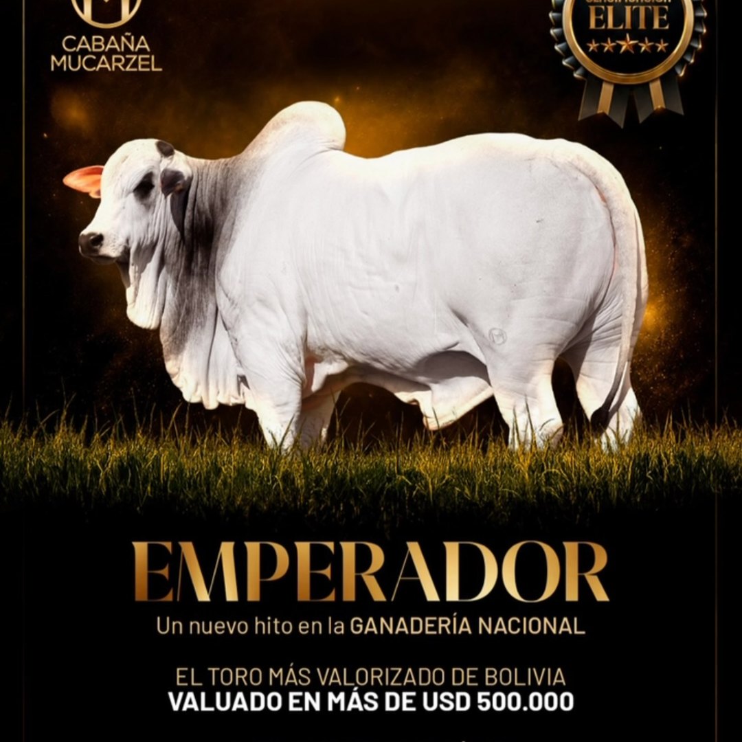 Emperador FIV Mucarzel
